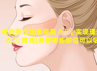 哪些部位能靠吸脂 🌿 实现理想 🦟 曲线(身体哪些部位可以吸脂)